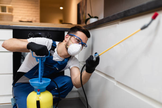 Best Wasp Removal Services  in Wheatley Heights, NY