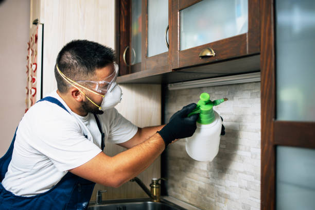 Pest Control Cost in Wheatley Heights, NY