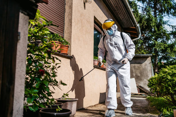 Best Flea Control Services  in Wheatley Heights, NY