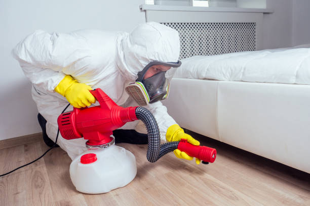 Best Insect Control  in Wheatley Heights, NY