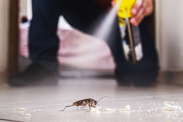 Wildlife Control Services in Wheatley Heights, NY