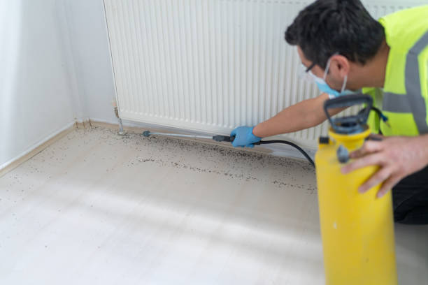 Best Best Pest Control Companies  in Wheatley Heights, NY